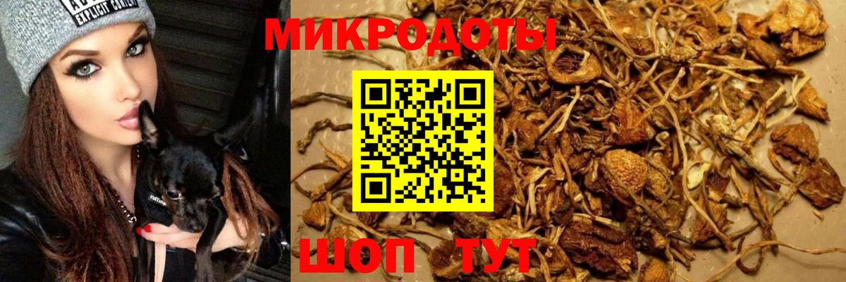 Галлюциногенные грибы ЛСД  Псилоцибиновые грибы Psilocybe  Вход с VPN  закладки  Кропоткин 